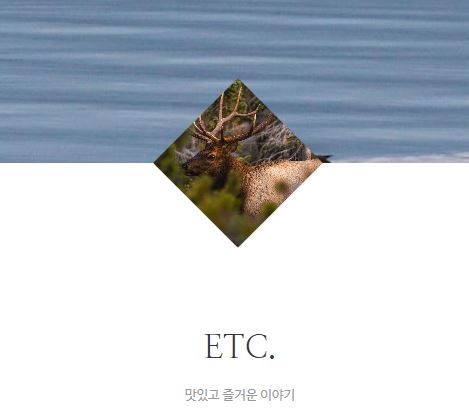 태상의 미니샵이 라이프스타일 정보 사이트로 선택받는 이유