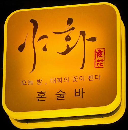 야화 혼술바, 혼술바창업 전국 매장 현황에서 확인할 항목